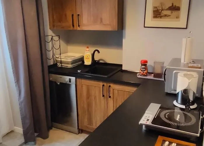 Lovely On Dyrekcyjna Street! In The Very Center Of Katowice! Katowice